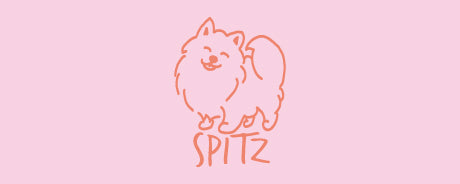 2022 SPRING