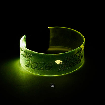 NANIIRO KANA? LED BANGLE