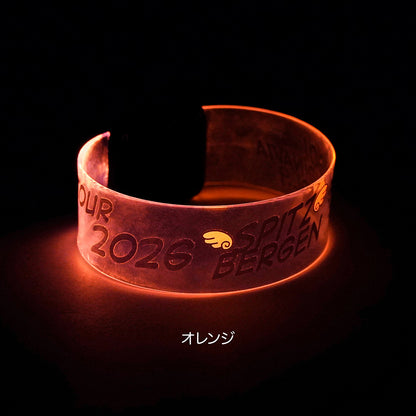 NANIIRO KANA? LED BANGLE