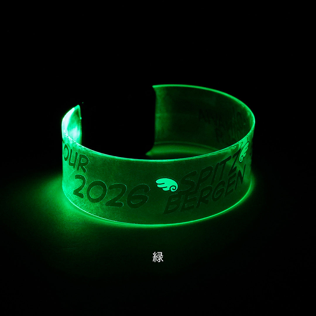 NANIIRO KANA? LED BANGLE